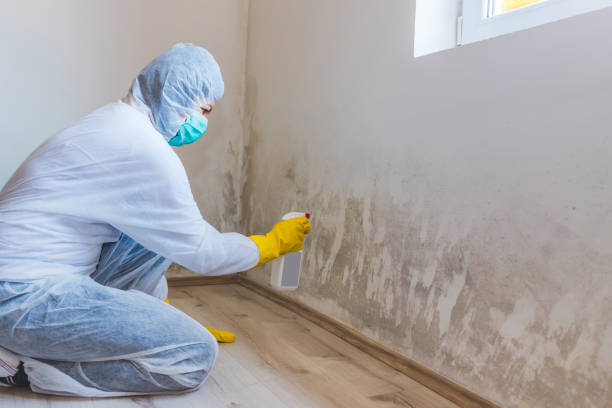 Mold Remediation specialist working in Watsontown